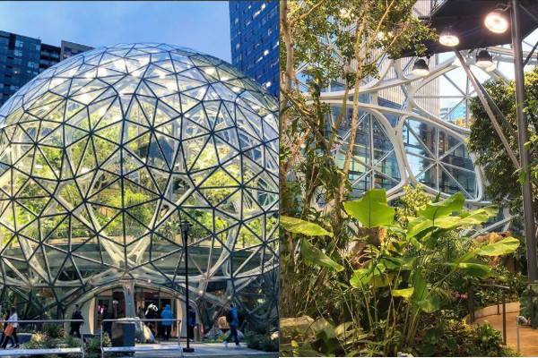 アメリカに植物だらけのAmazon新オフィスが誕生 アメリカに植物だらけのAmazon新オフィスが誕生