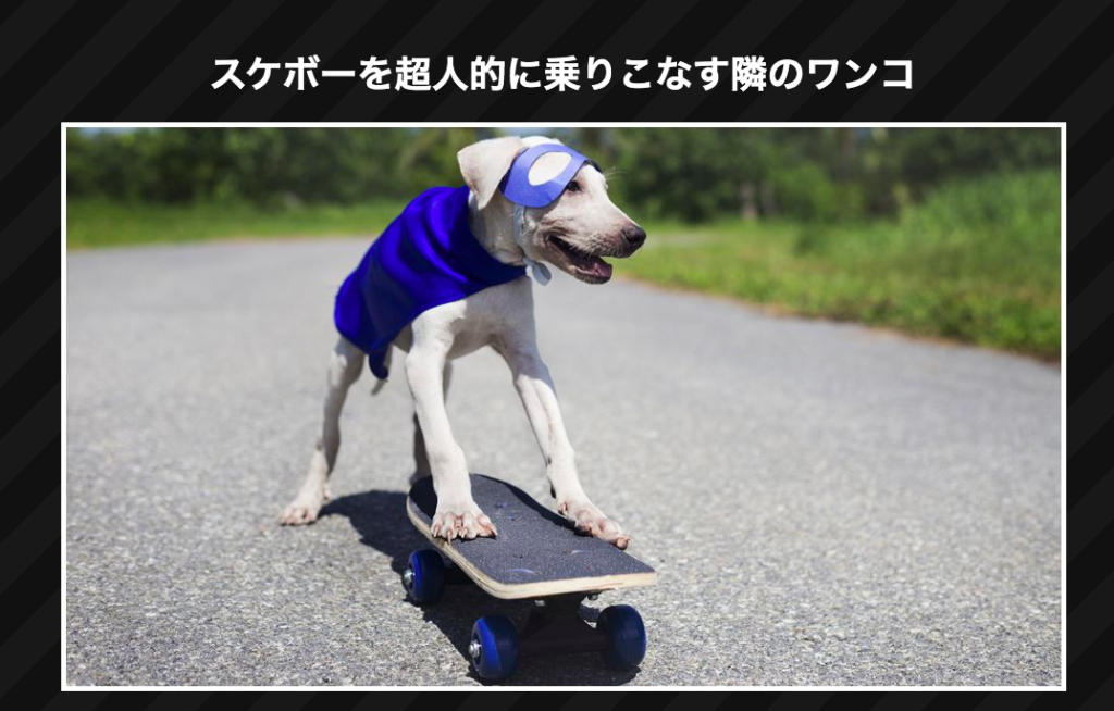 ビデオキャッシュ 採用動画5